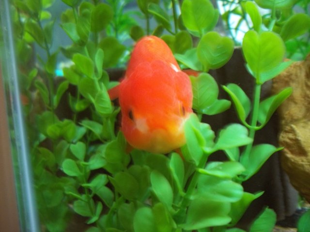 100_0522.JPG