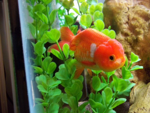 100_0524.JPG
