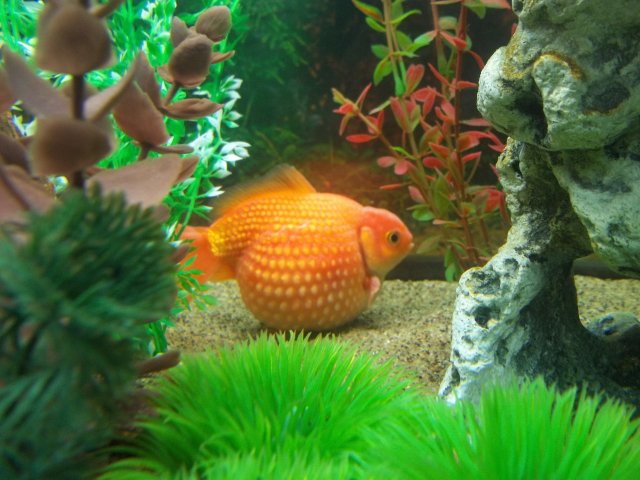 100_0530.JPG