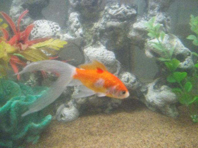 100_0429.JPG