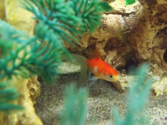 100_0531.JPG