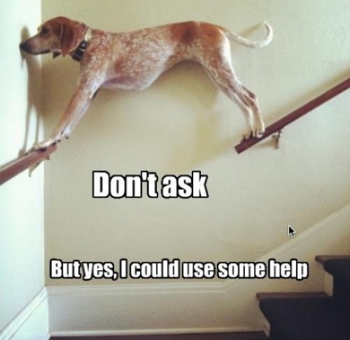 don-t-ask-but-yes-i-could-use-some-help-dog-banister-stuck-d4af65fa-sz500x486-animate.jpg