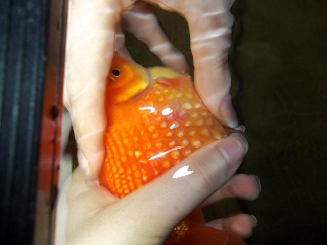 100_0540.JPG