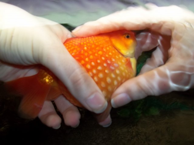 100_0541.JPG