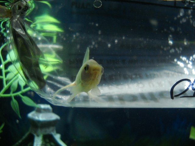 DSCN5934.JPG