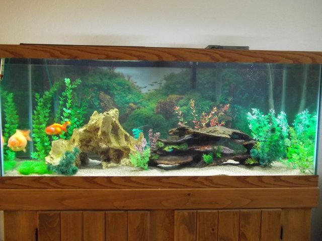 100_0547.JPG 100_0547.JPG