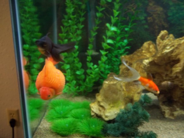 100_0549.JPG 100_0549.JPG