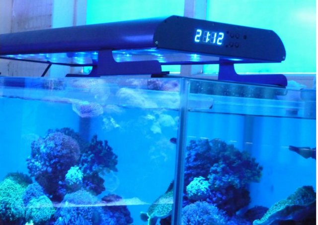 P1020546.JPG P1020546.JPG