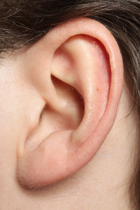 ear-nose-throat.jpg