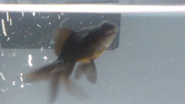 102_0043.JPG