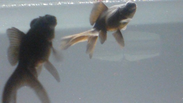 102_0046.JPG