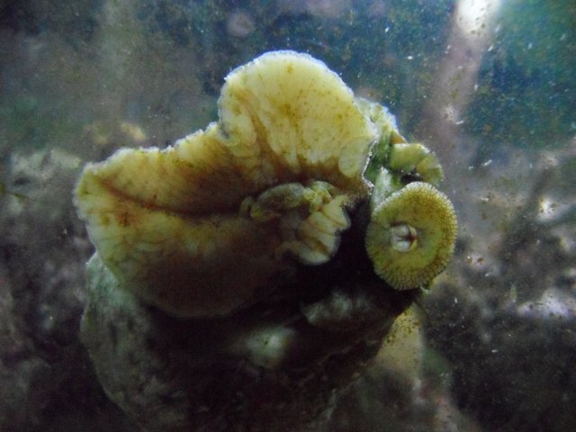 SAM_0594.JPG SAM_0594.JPG