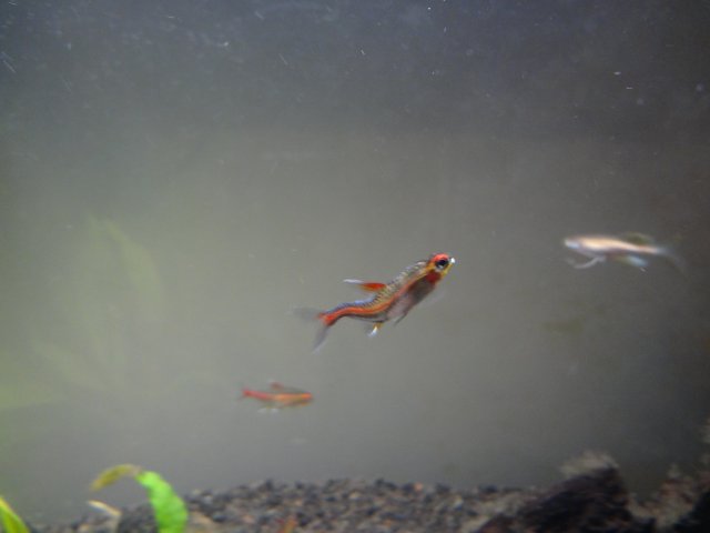 DSC02515.JPG