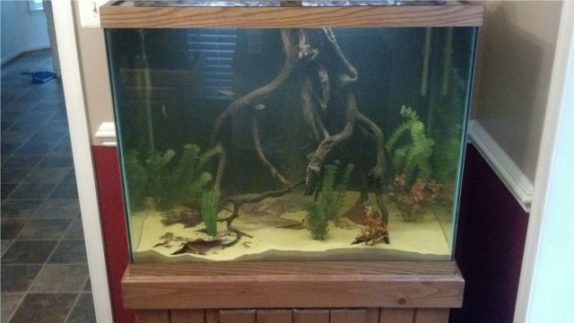 2012-08-05_18-45-04_421.jpg