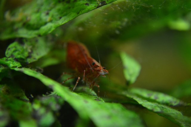 DSC_0757.jpg