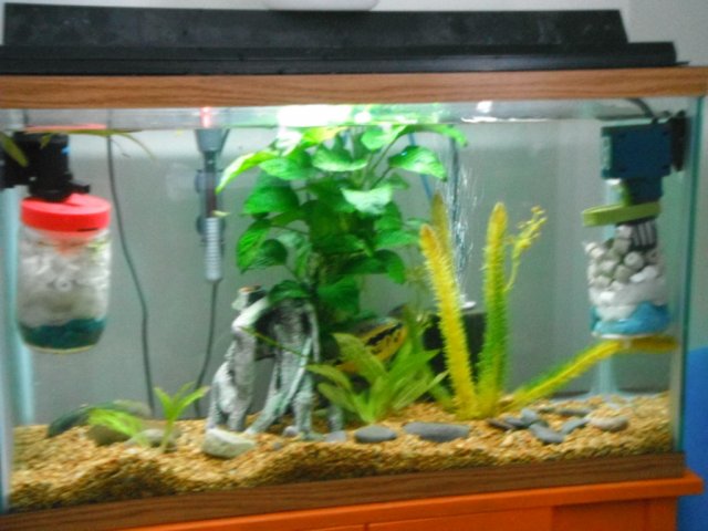 DSCF0404.jpg