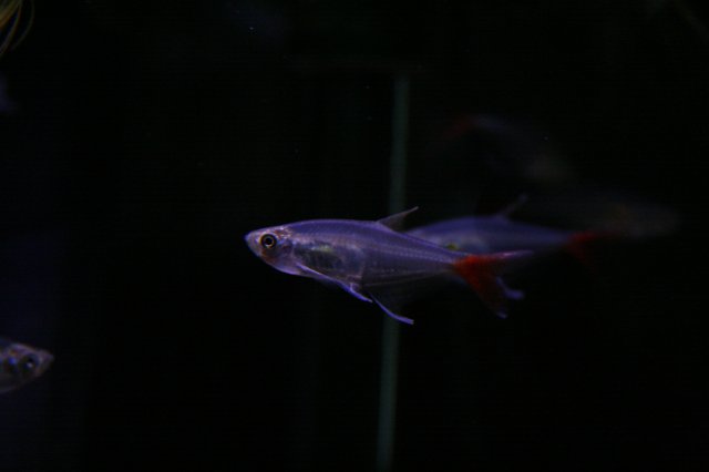 IMG_3958.JPG