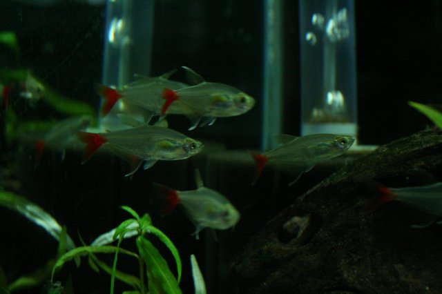 IMG_3964.JPG
