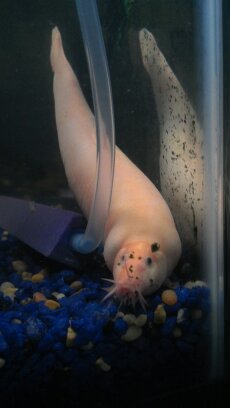 2012-08-13 002 015.jpg