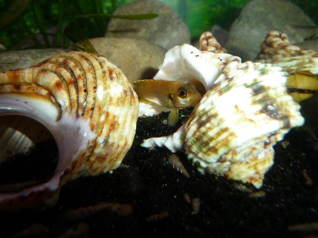P1040108.JPG