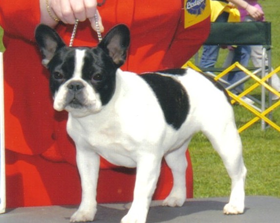 rock'nroll's susie Q.jpg