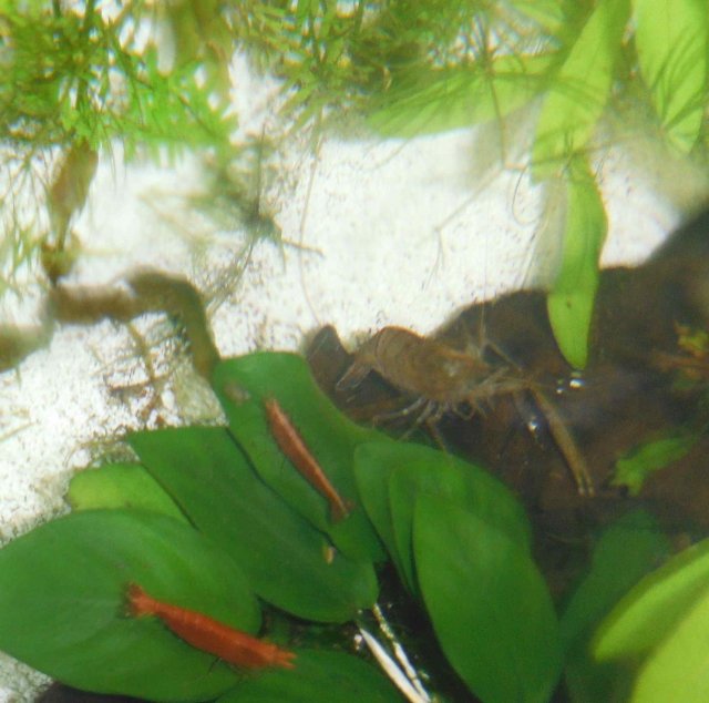 DSCF0003.jpg