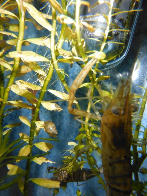 DSCF0012.jpg