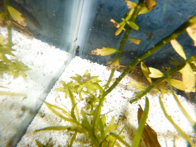 DSCF0017.jpg