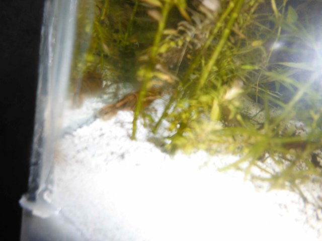 DSCF0019.jpg