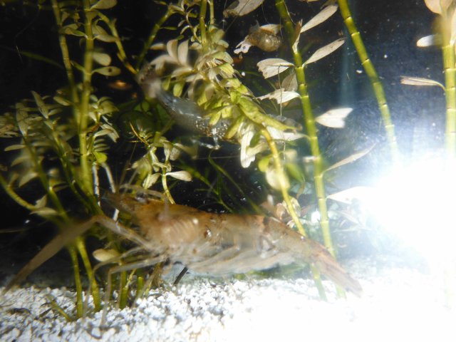 DSCF0020.jpg