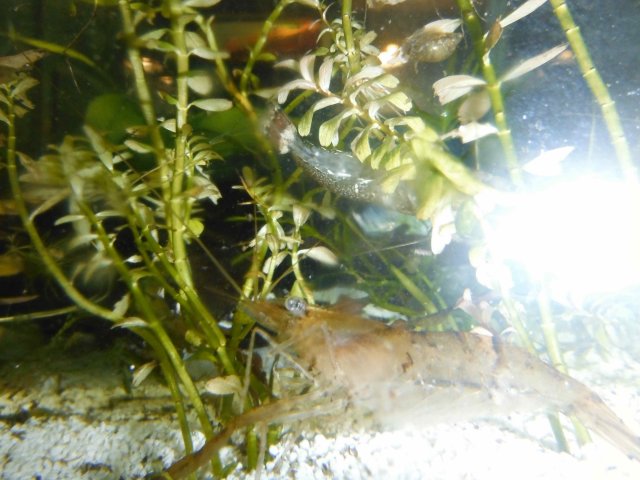 DSCF0021.jpg