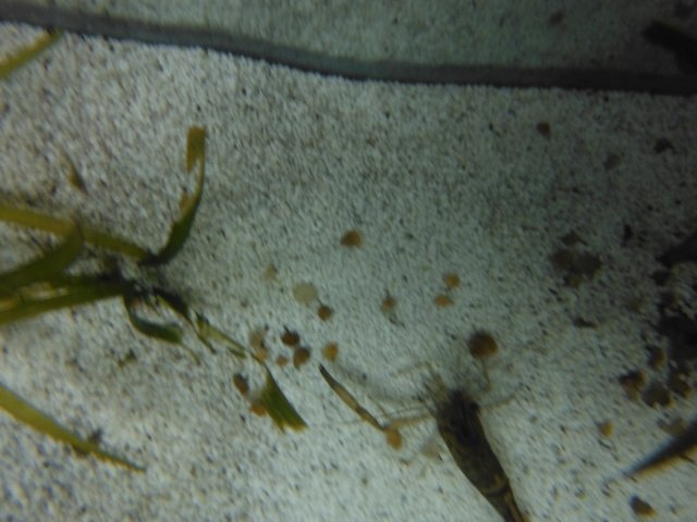 DSCF0070.JPG