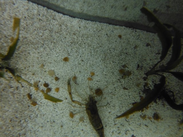 DSCF0071.JPG