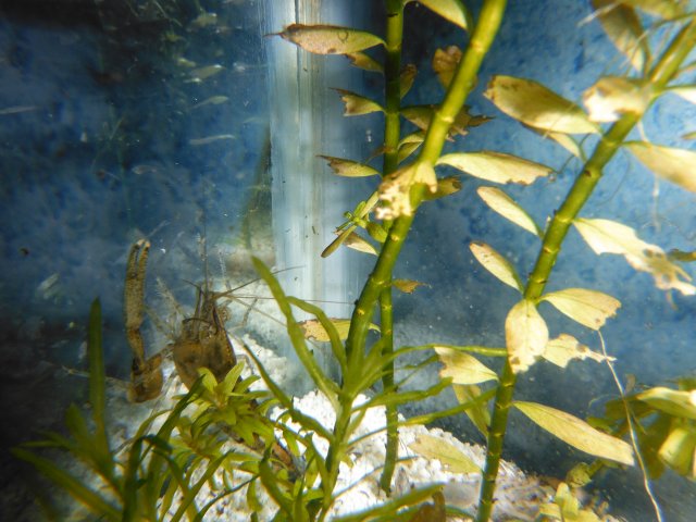 DSCF0077.JPG
