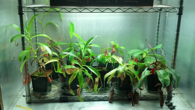 2012-09-01_22-04-16_532.jpg
