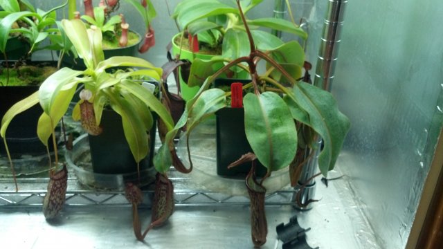 2012-09-01_22-04-50_251.jpg
