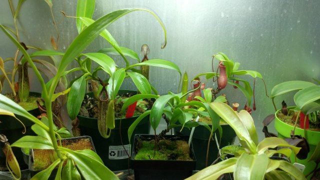 2012-09-01_22-04-59_58.jpg