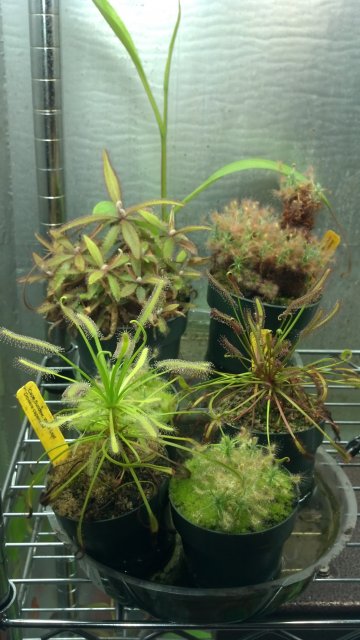 2012-09-01_22-05-57_709.jpg