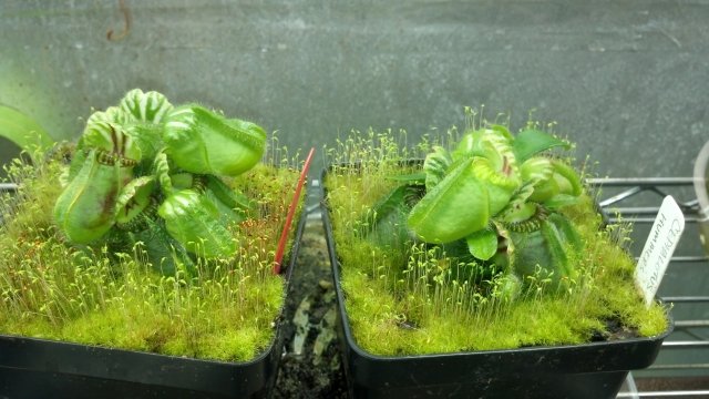 2012-09-01_22-06-04_793.jpg