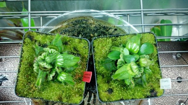 2012-09-01_22-06-14_608.jpg