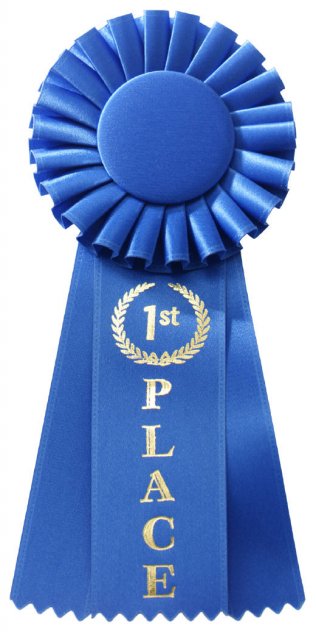 blue-ribbon.jpg
