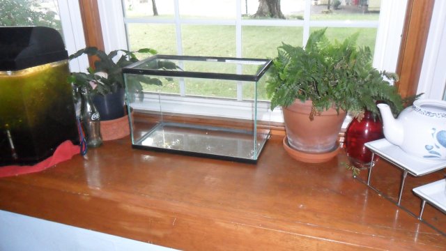 empty 5 gal.JPG