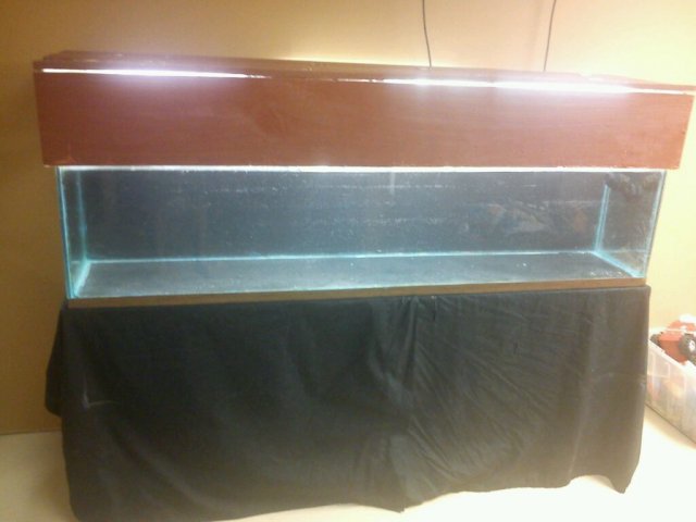 uploadfromtaptalk1347132314178.jpg uploadfromtaptalk1347132314178.jpg