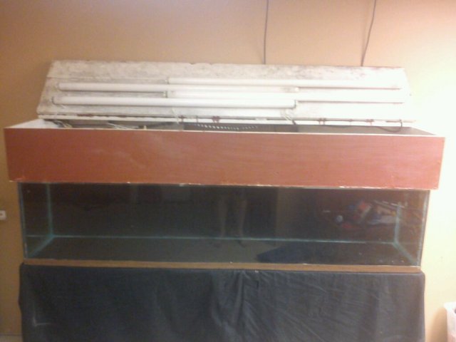 uploadfromtaptalk1347132334077.jpg uploadfromtaptalk1347132334077.jpg