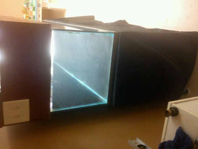 uploadfromtaptalk1347132361333.jpg uploadfromtaptalk1347132361333.jpg