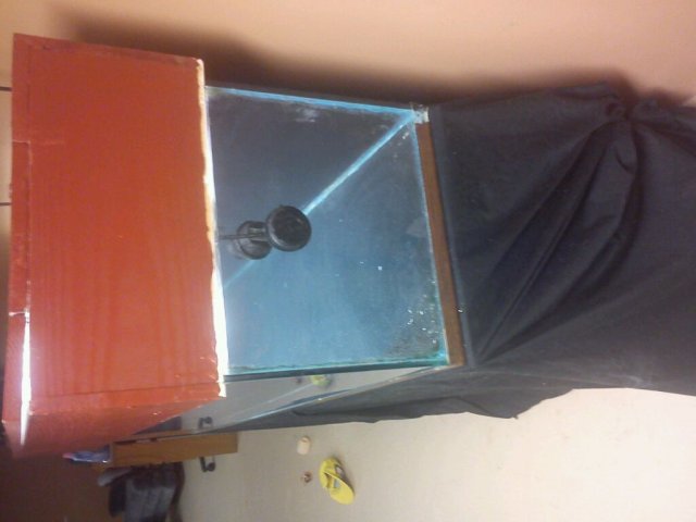 uploadfromtaptalk1347132380399.jpg uploadfromtaptalk1347132380399.jpg