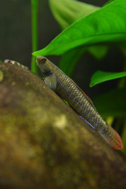 DSC_0760.jpg