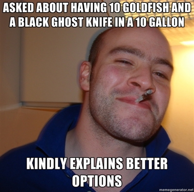 26735673.jpg