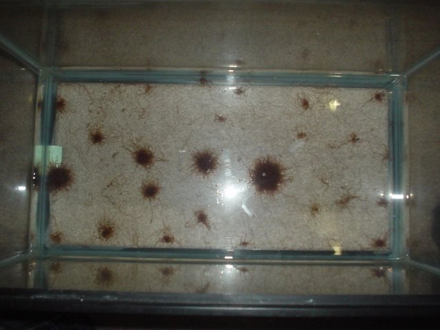 DSC00043.JPG