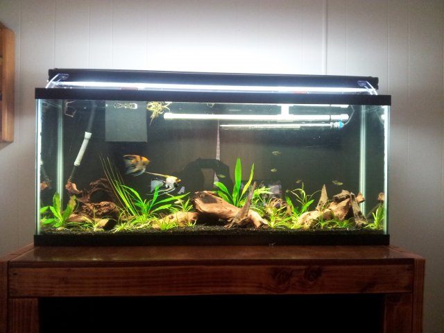 20120924_133127.jpg